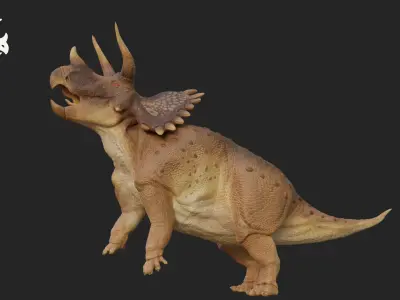Triceratops Low-poly 3D model 4