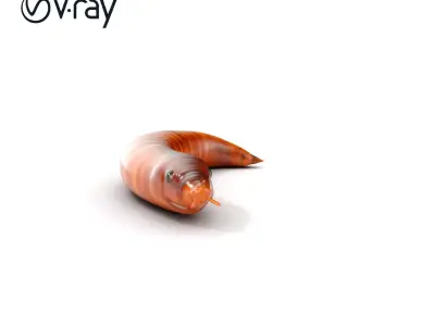 Realistic Millipede Model Pack for Rendering and Games Low-poly 3D model