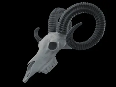 Ram Skull HighPoly Free 3D model