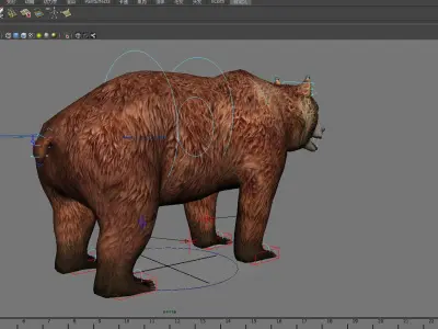 mammal wildlife zoo animal nature danger bear male short  3D model