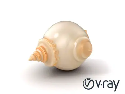 Scalloped Seashell Natural Color model pack Low-poly 3D model