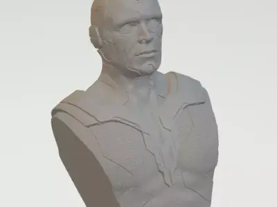 Vision Bust The AVENGERS 3D model