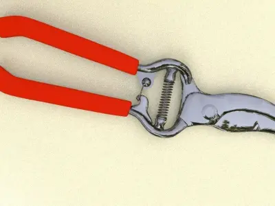 Pruning Sheers 3D model