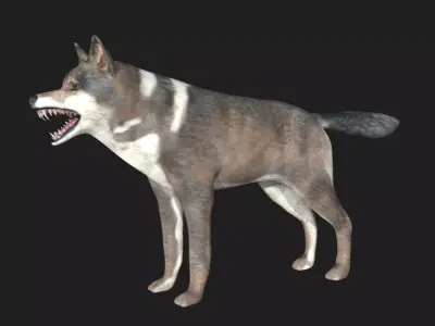 Wolf animal Low-poly 3D model
