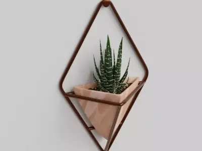 Haworthia in a wall pot Free 3D model