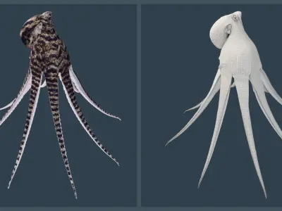 Animated Mimic Octopus Low-poly 3D model