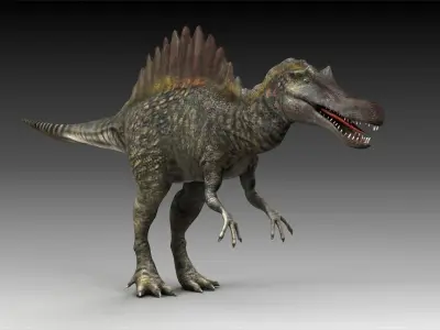 spinosaurus dinosaur jurassic prehistoric reptile creature  3D model
