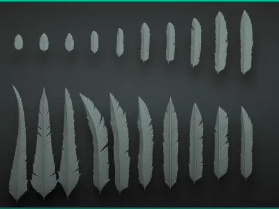 Stylized Feathers - 20 Insert mesh Zbrush 3D model