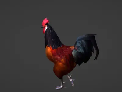 Rooster Low-poly 3D model