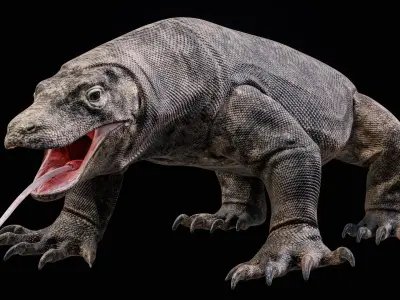 Komodo Dragon 8K PBR 3D model