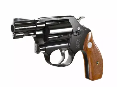 Smith and Wesson M36 3D model