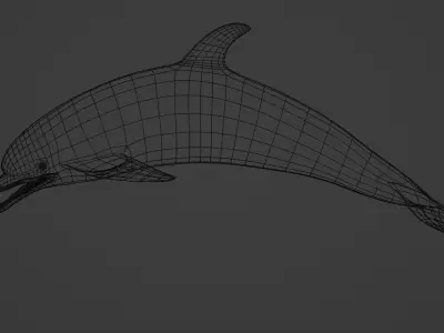 Shiny Dolphin 3D model