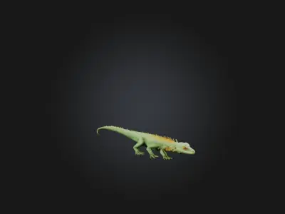 Realistic Lizard Model Low-poly 3D model