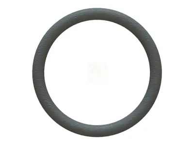 O Ring Vedabras 12549 3D model