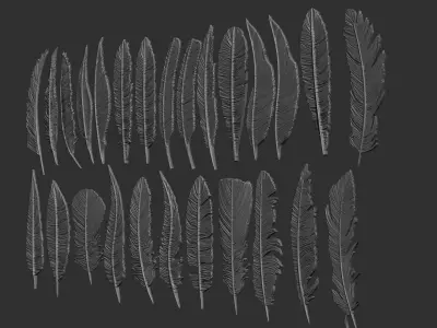 26  Feathers 3D model