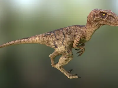 Velociraptor Low-poly 3D model purchase
