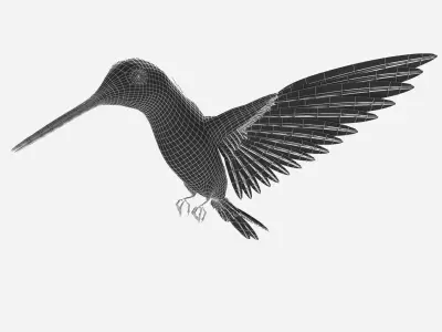 hummingbird flying in air 3D model
