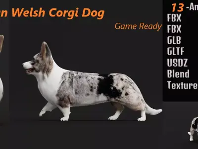 Cardigan Welsh Corgi Dog Free low-poly 3D model