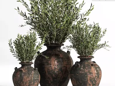 Olive plant In Antique Clay Vessels And Indoor Plant Set 07 3D model
