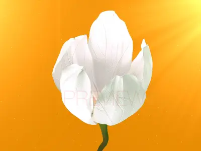 Realistic Jasmine Flower Bloom Animation 3D model
