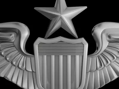 US Air Force Senior Pilot Wings Badge 3D print model