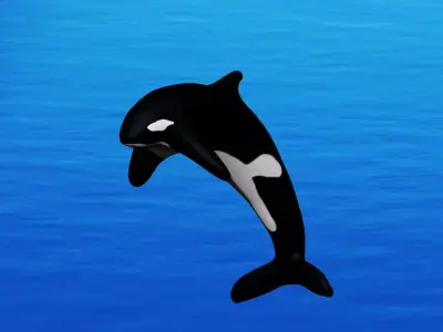Orca Whale 3D model