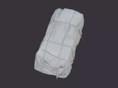 Train Crate Tarpaulin on Wooden Pallet Low-poly 3D model