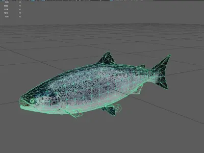 Trout Low-poly 3D model shop