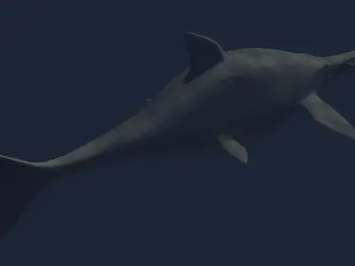 Ichtyosaurus shark Low-poly 3D model