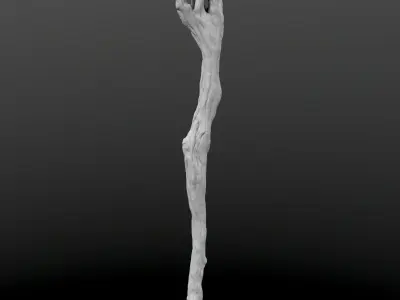 Magic Wand High Poly model 3D model