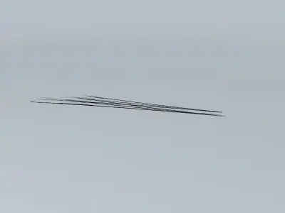Rubbish Rail N/Gauge Triple Point Old Steam Days Free 3D model