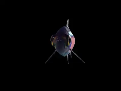 Neon Tetra Fish Free 3D model