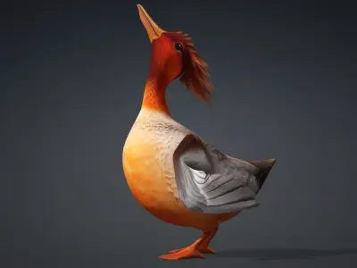 Duck-B4 3D model