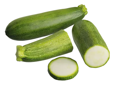  Zucchini Models  purchase