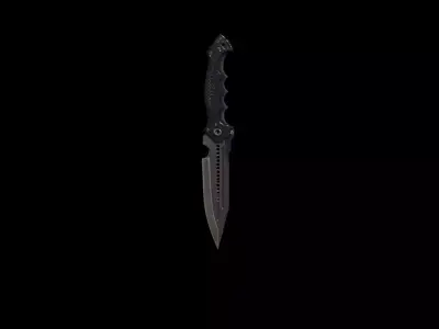 tactical dagger 3d model 3D model
