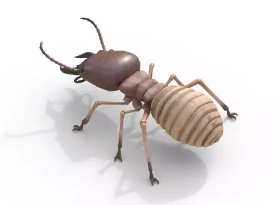 Termite Insect Rigged 3d model Free 3D model