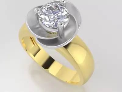 Ring 3 bara 3D model