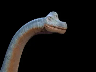 3D Brachio dinosaur Low-poly 3D model