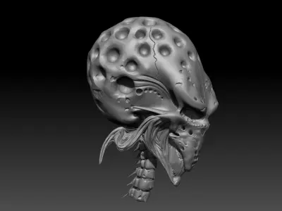 Snail skull 3D model