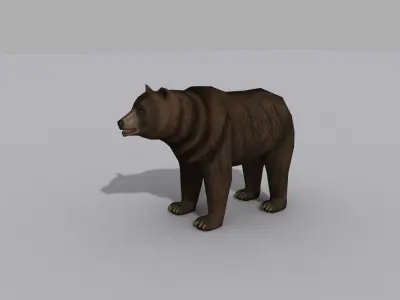 a beer bear Free 3D model