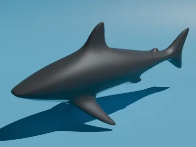 shark Low-poly 3D Model Low-poly 3D model