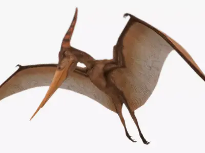 Pteranodon dinosaur Low-poly 3D model