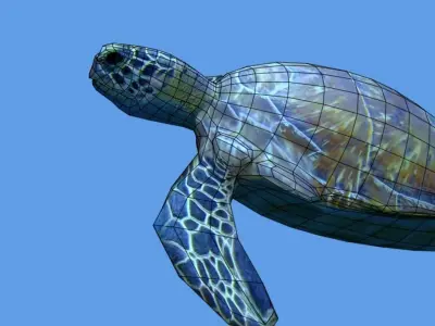 sea turtle lowpoly Low-poly 3D model