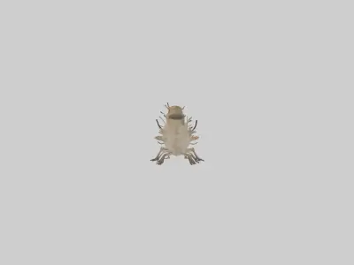 Eastern Tent Caterpillar Low-poly 3D model