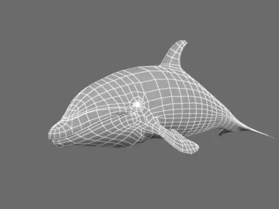 Dolphin 3D model buy