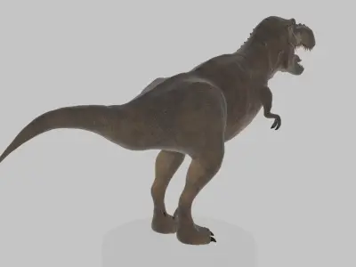 Tyrannosaurus Rex 3D Model 3D model
