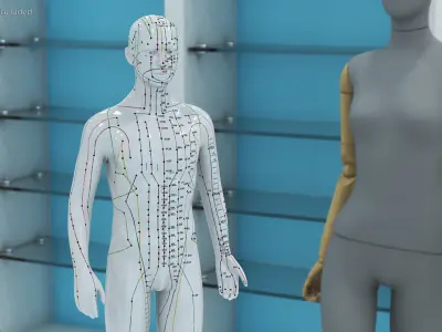 Male Acupuncture Mannequin 3D model