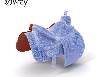 Realistic Saddle Model Pack Low-poly 3D model