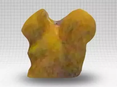 New Qlone Free 3D model