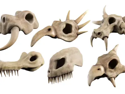 Skull Set mammoth Low-poly 3D model